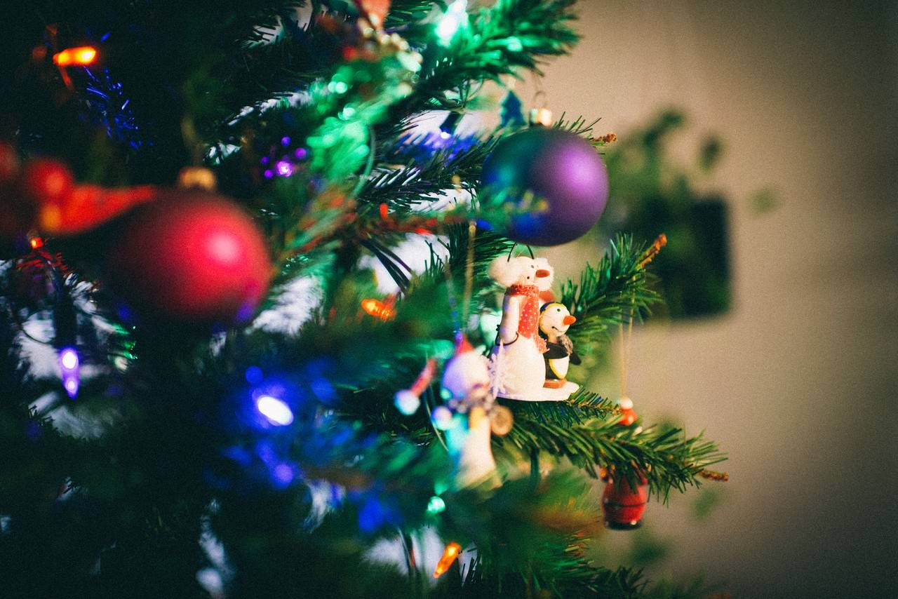 decoração de arvore com muitas cores
